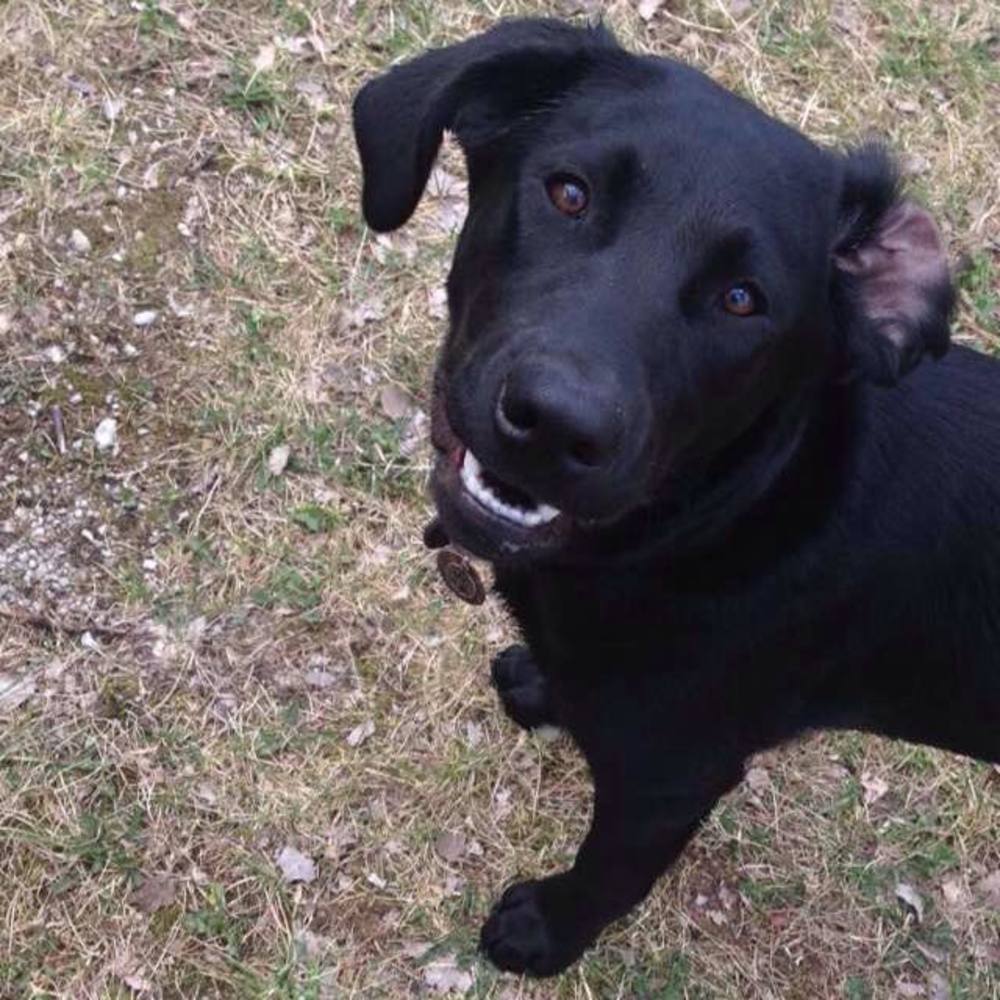 Meet your Posher, Moxie